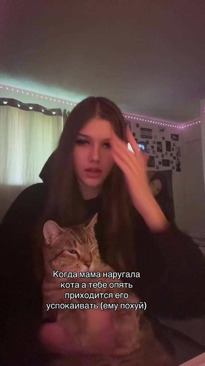 @Тгк: Sofiiamew5🪽
