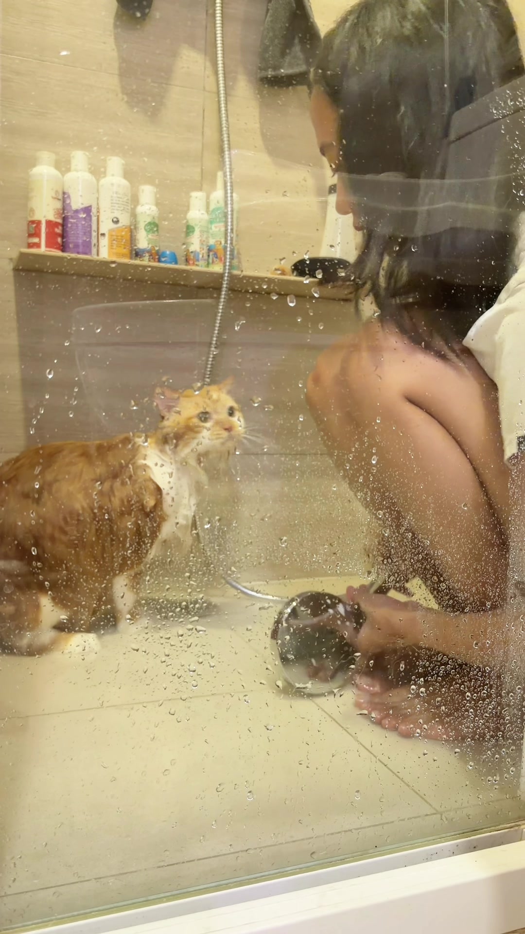 @nekokeikochan
