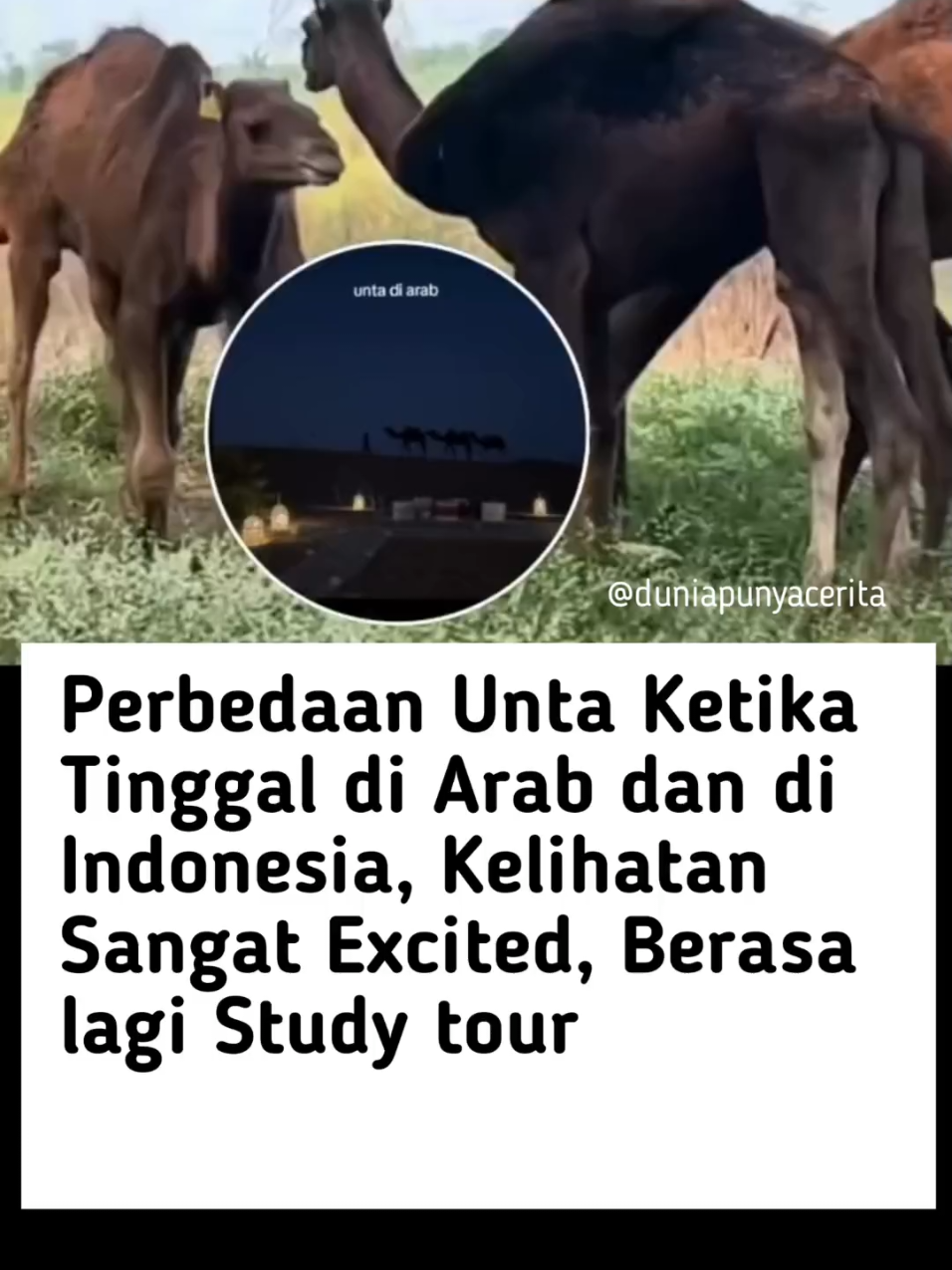 @Dunia Punya Cerita