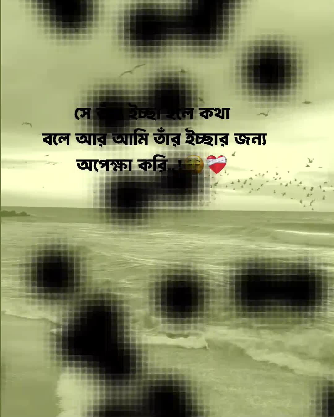 @𝗧𝗮𝗿𝗲𝗸 𝗕𝗵𝗮𝗶𝘆𝗮𝗮'♡︎