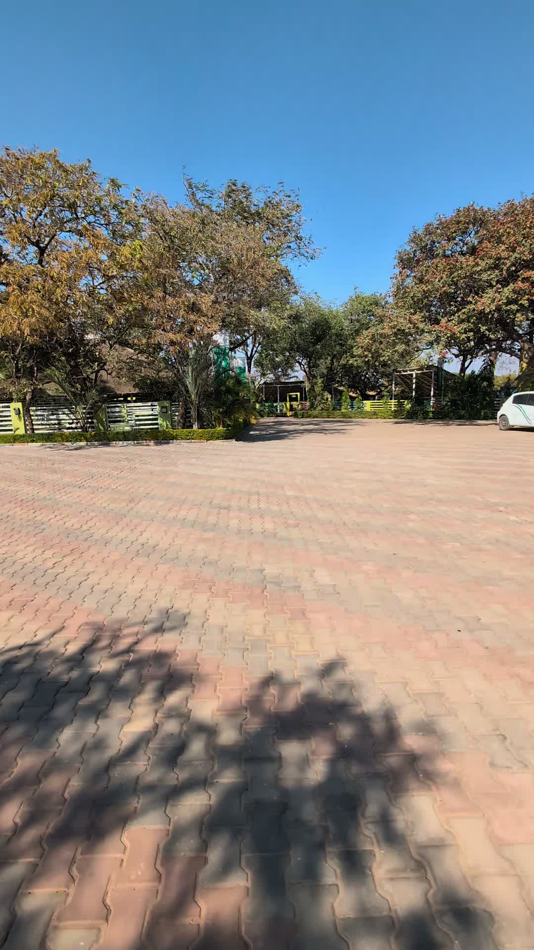 @Mungwi park gardens