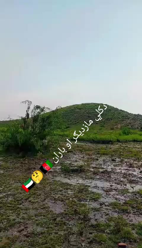 @Zienatullah ZaheeR