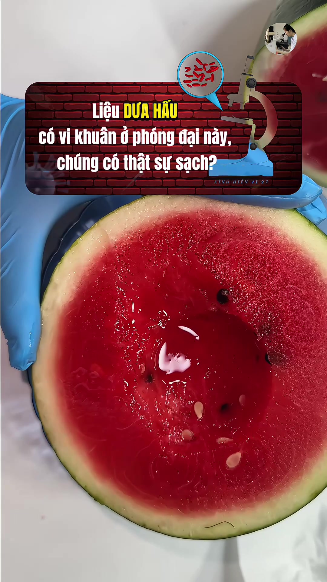 @Kính hiển vi 97