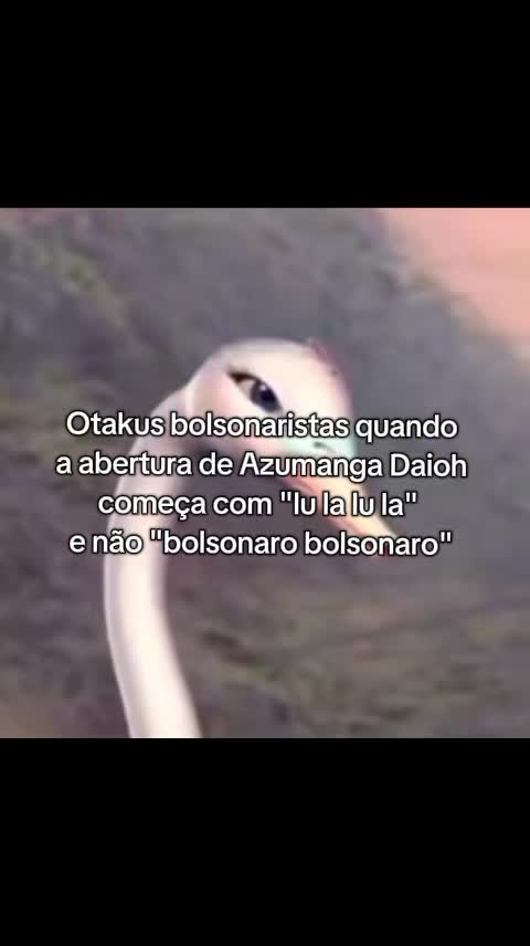@zari