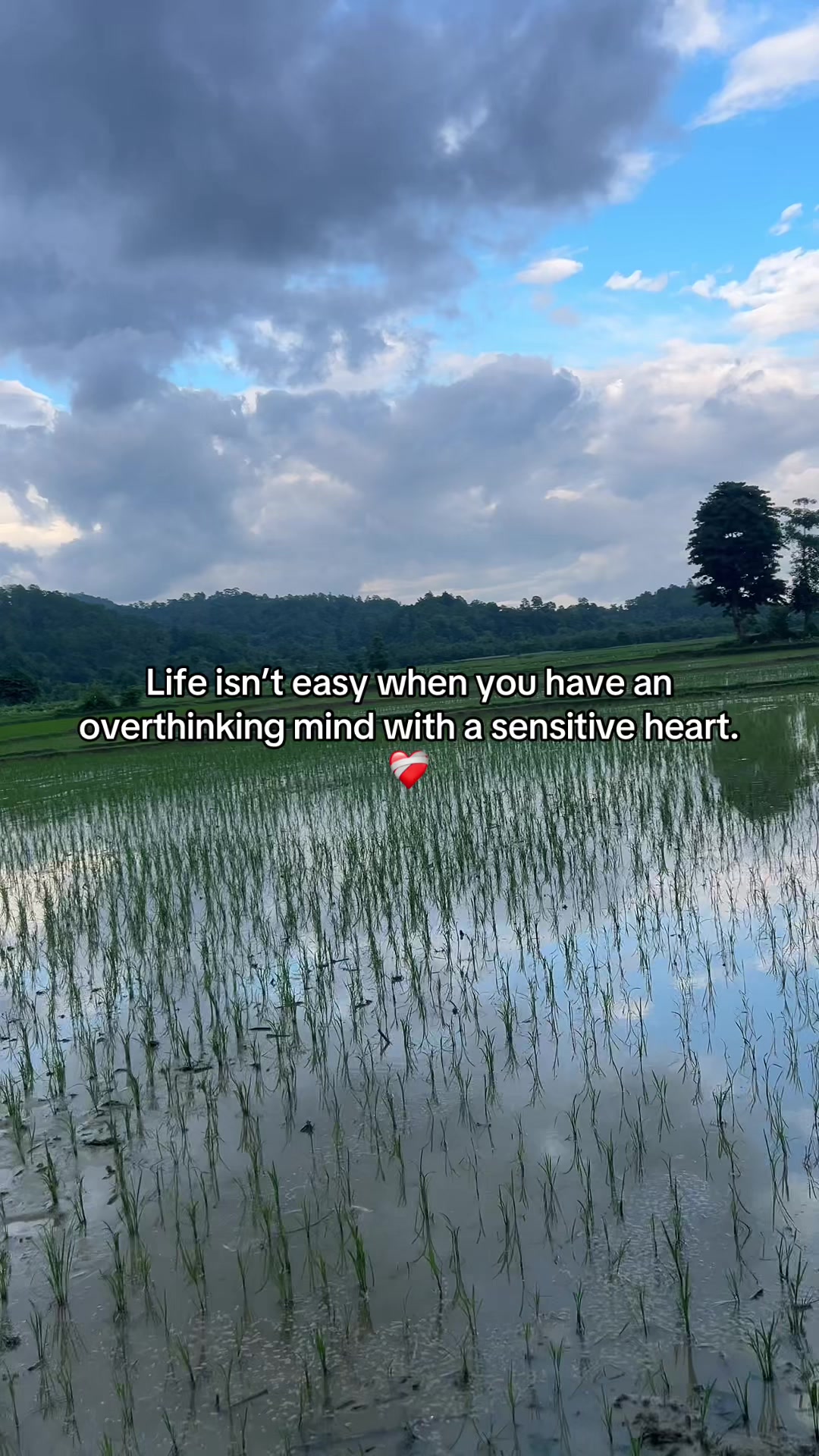@Rubi_jaiswal🦢✨