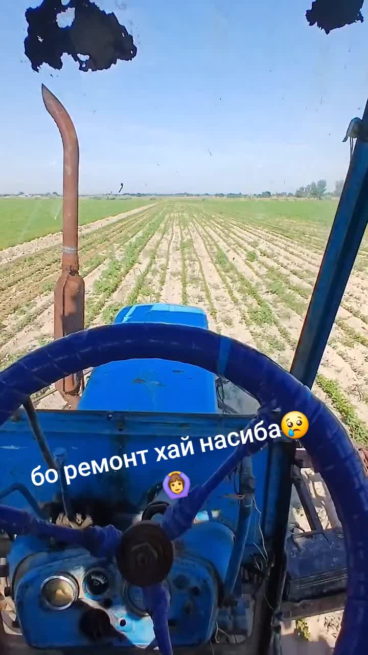 @Mastchoh