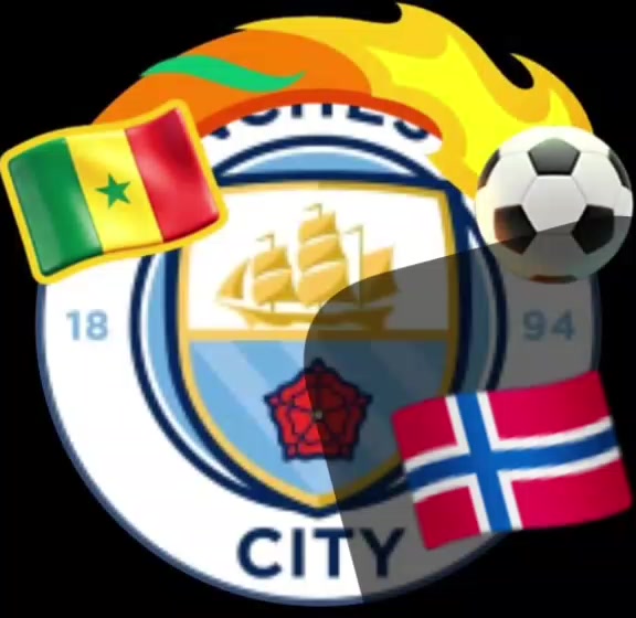 @Fallhaaland09⚽⚽