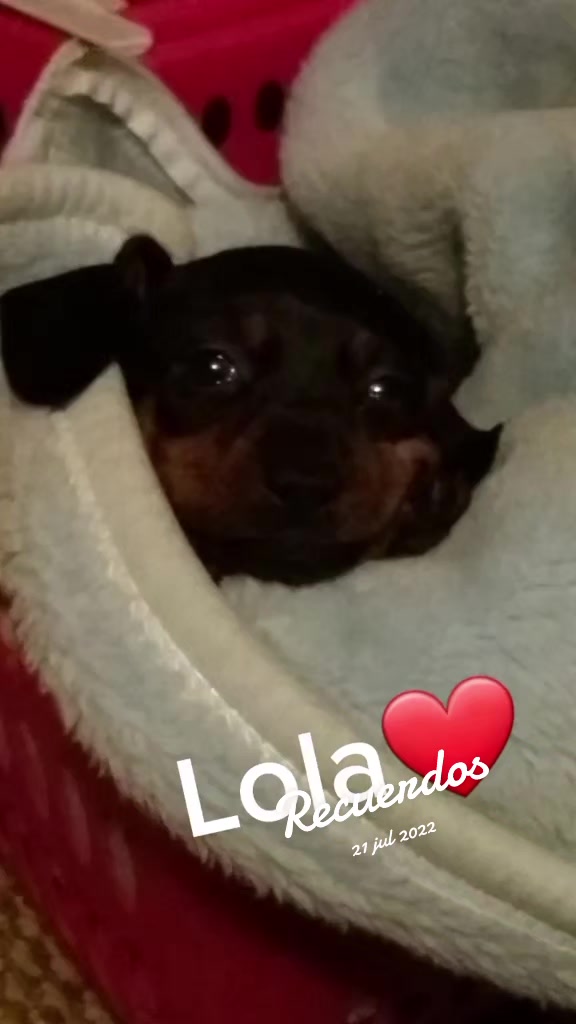 @Alecita_apa