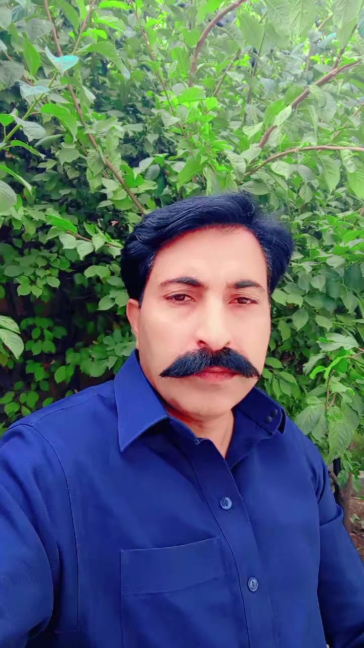 @Mir Jamali