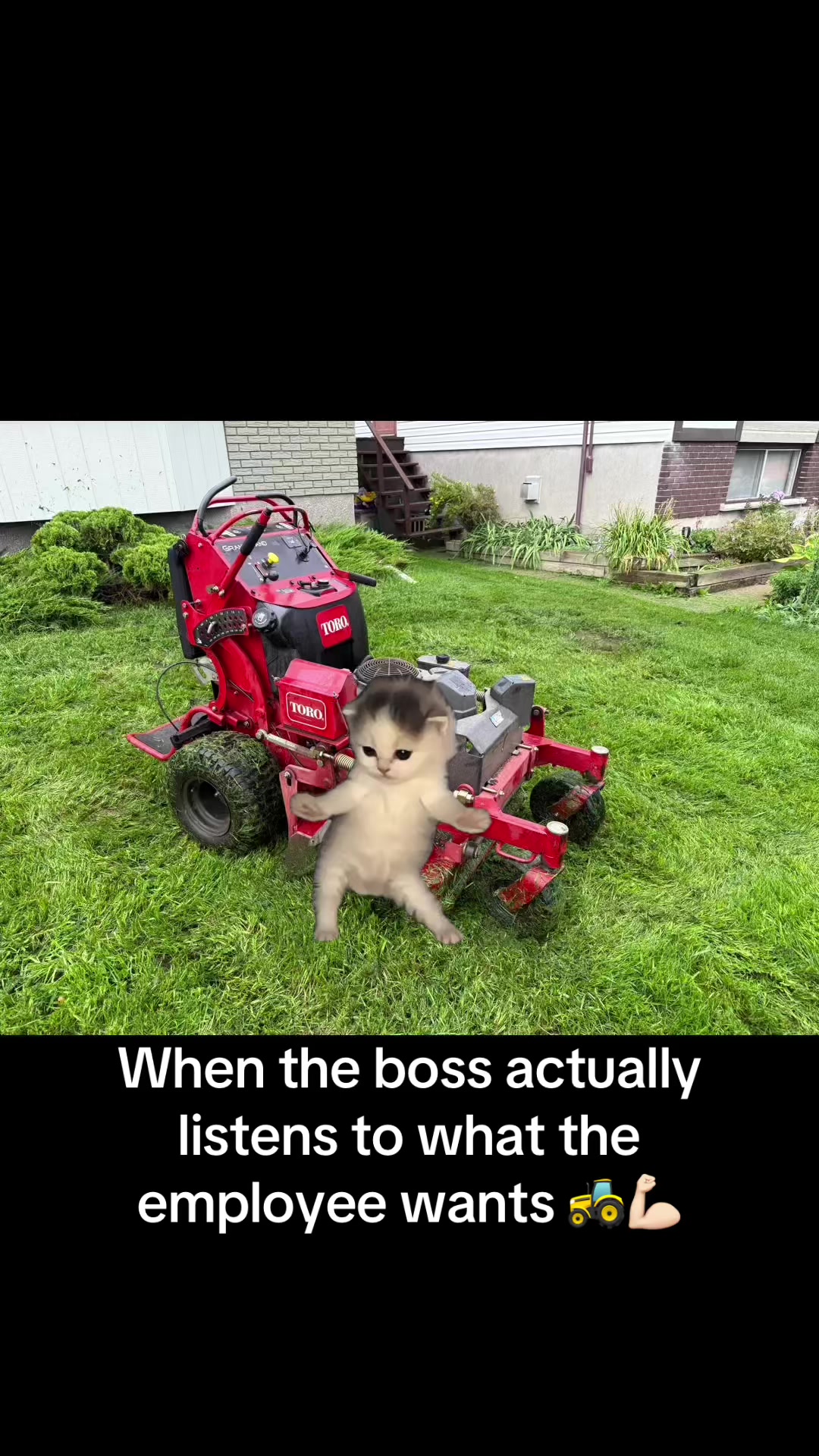 @Your yard guy 807