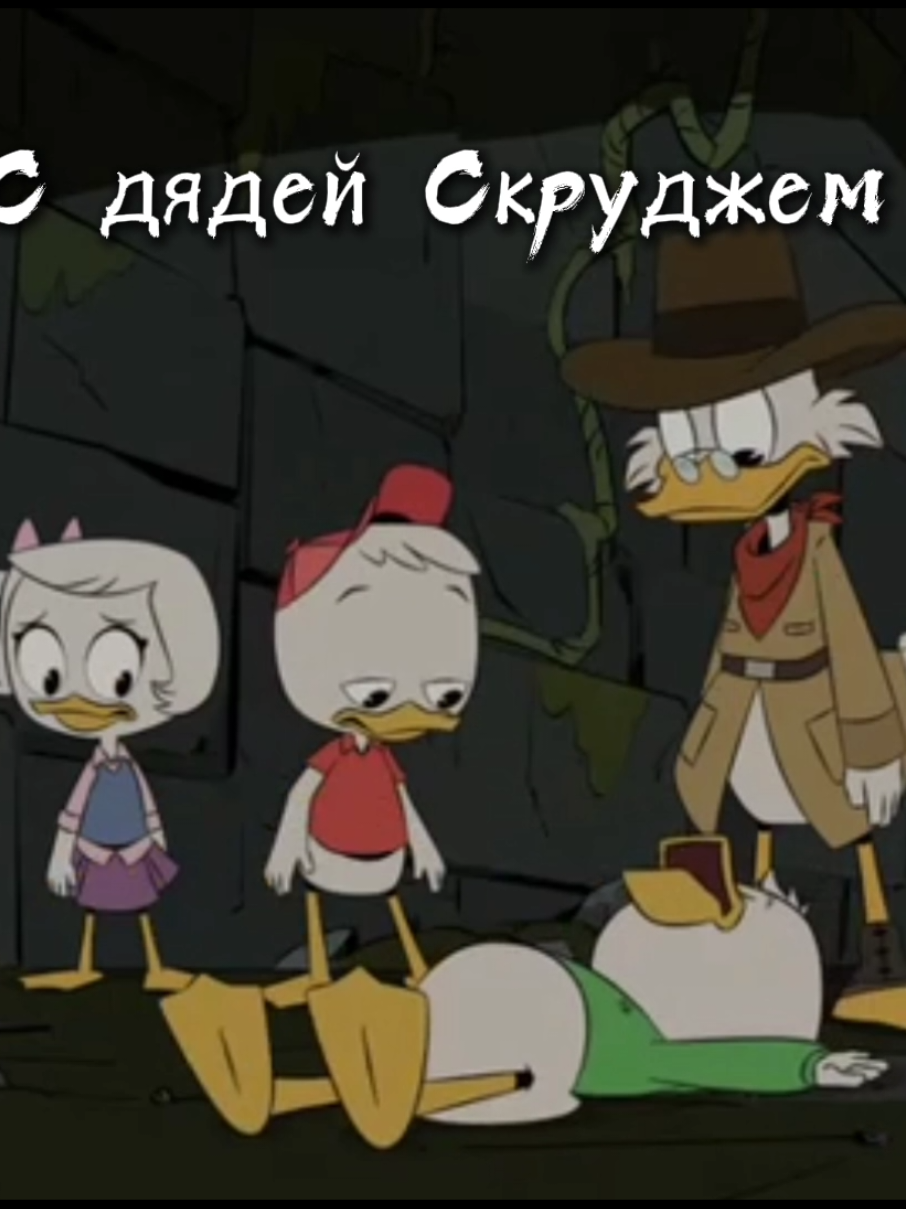 @Foxys-world