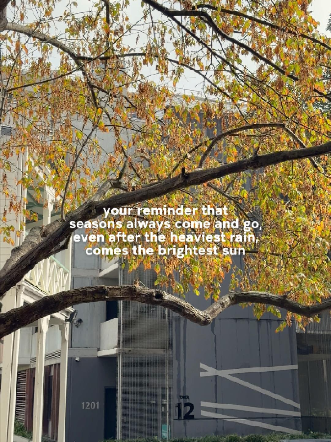 @UNSW