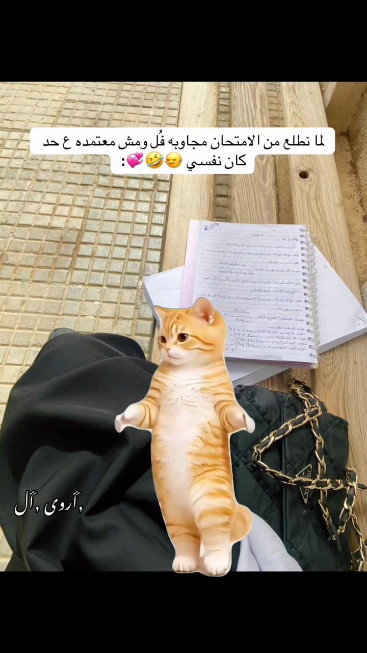 @Arwa al 2004๐ค๐ผ