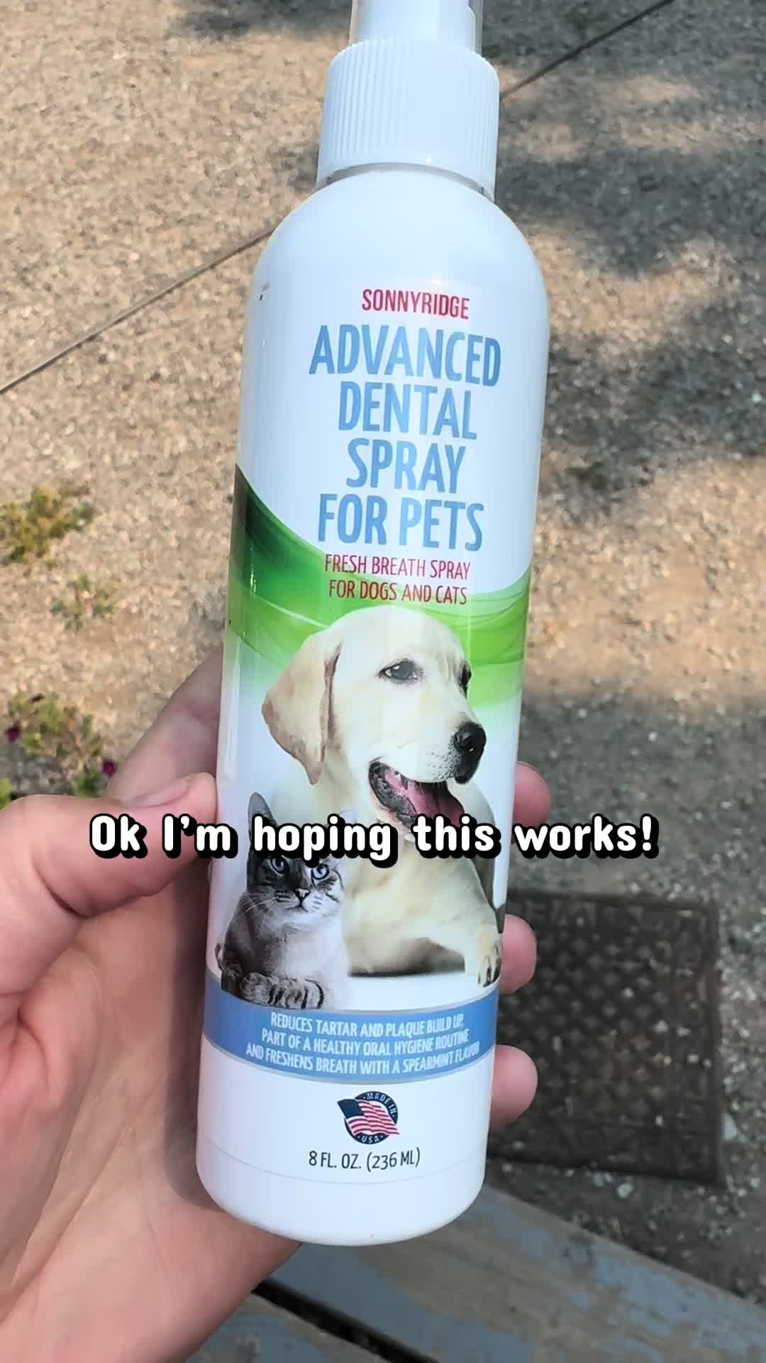 @NWWolfdogs