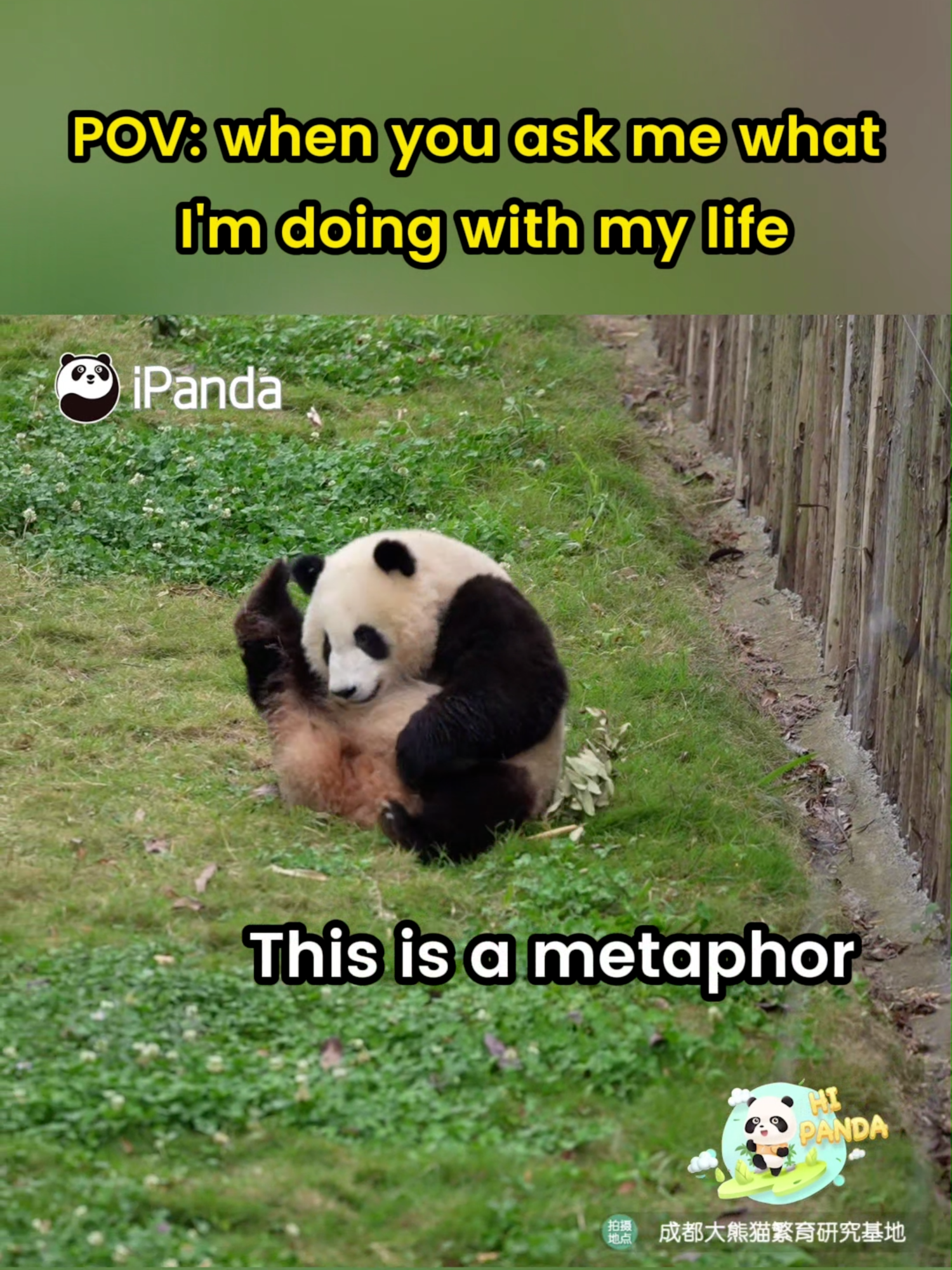 @iPanda