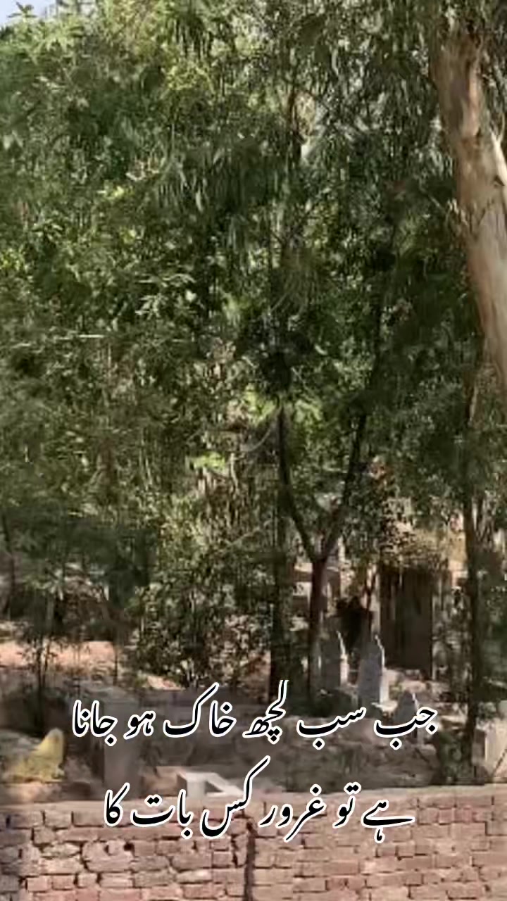 @foji sajjad