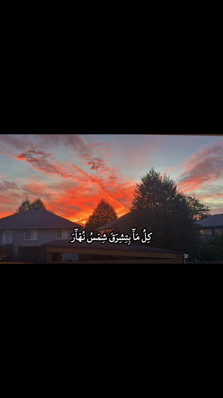 @Vilda makhoul