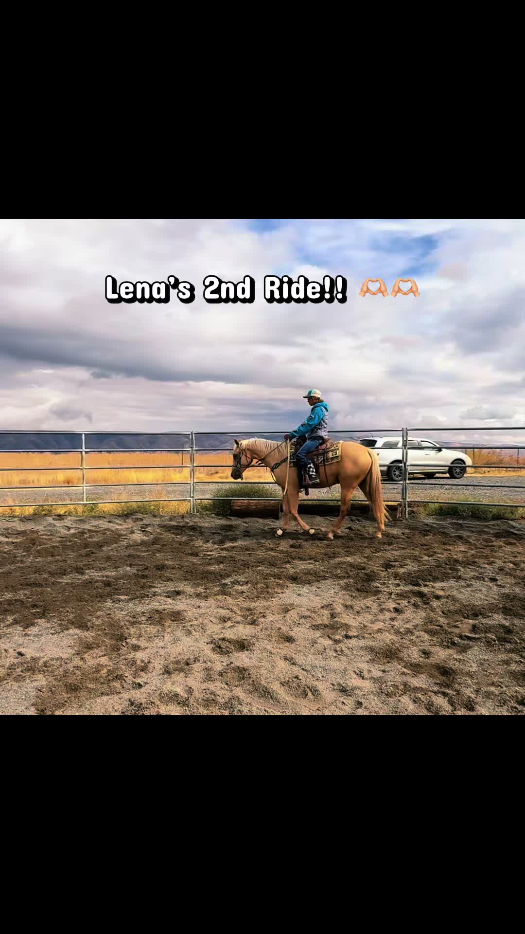 @Cowgirl Tuff Colt Training ❤️
