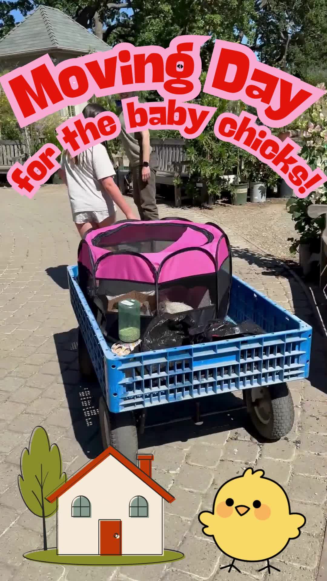 @Alden Lane Nursery