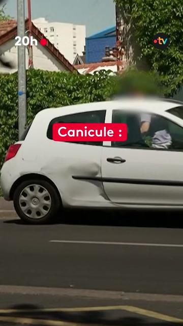 @le20hfrancetelevisions
