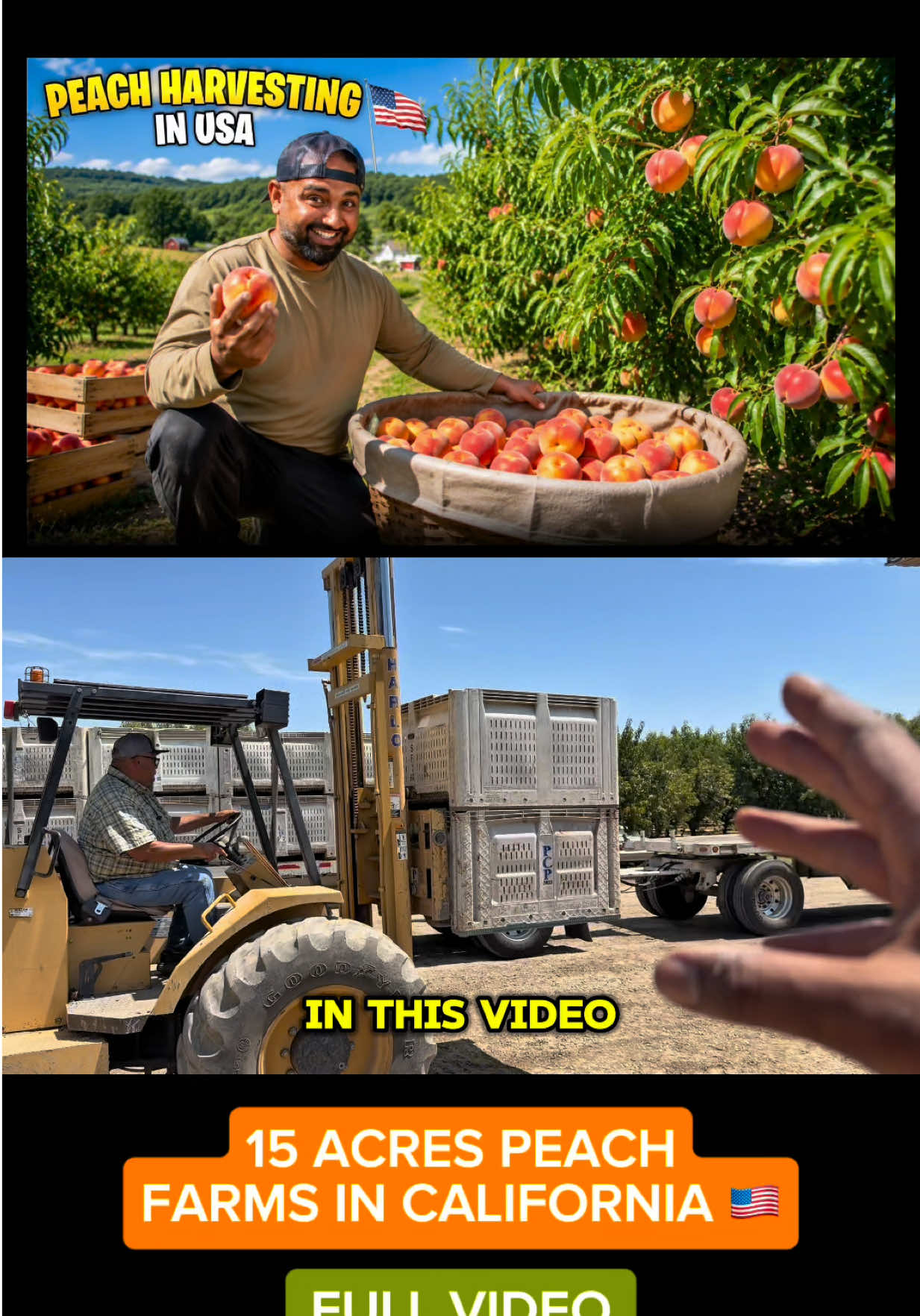 @Hilarious_zain