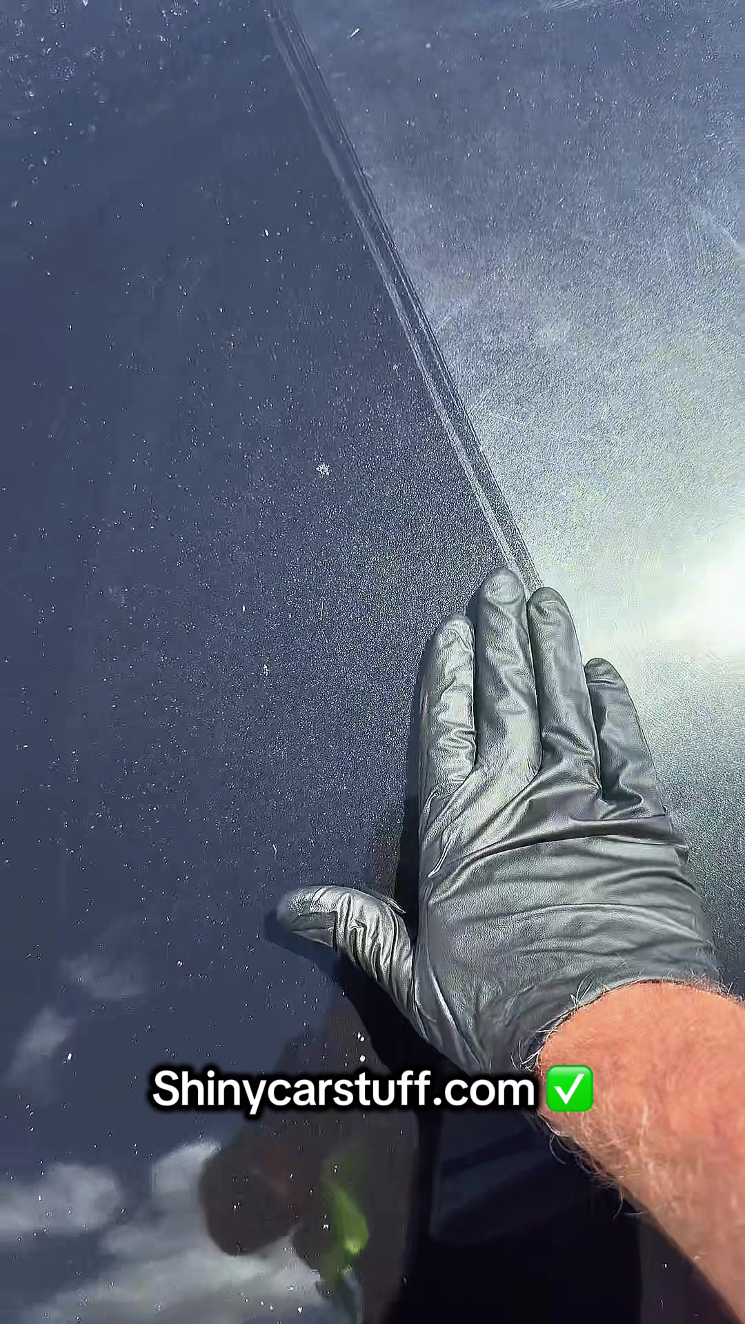 @Shiny Car Stuff