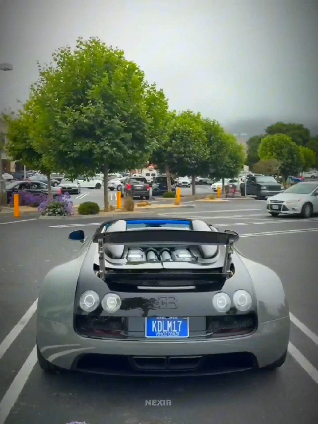 @𝕹𝕰𝖃𝕴𝕽_𝕮𝕬𝕽𝕾