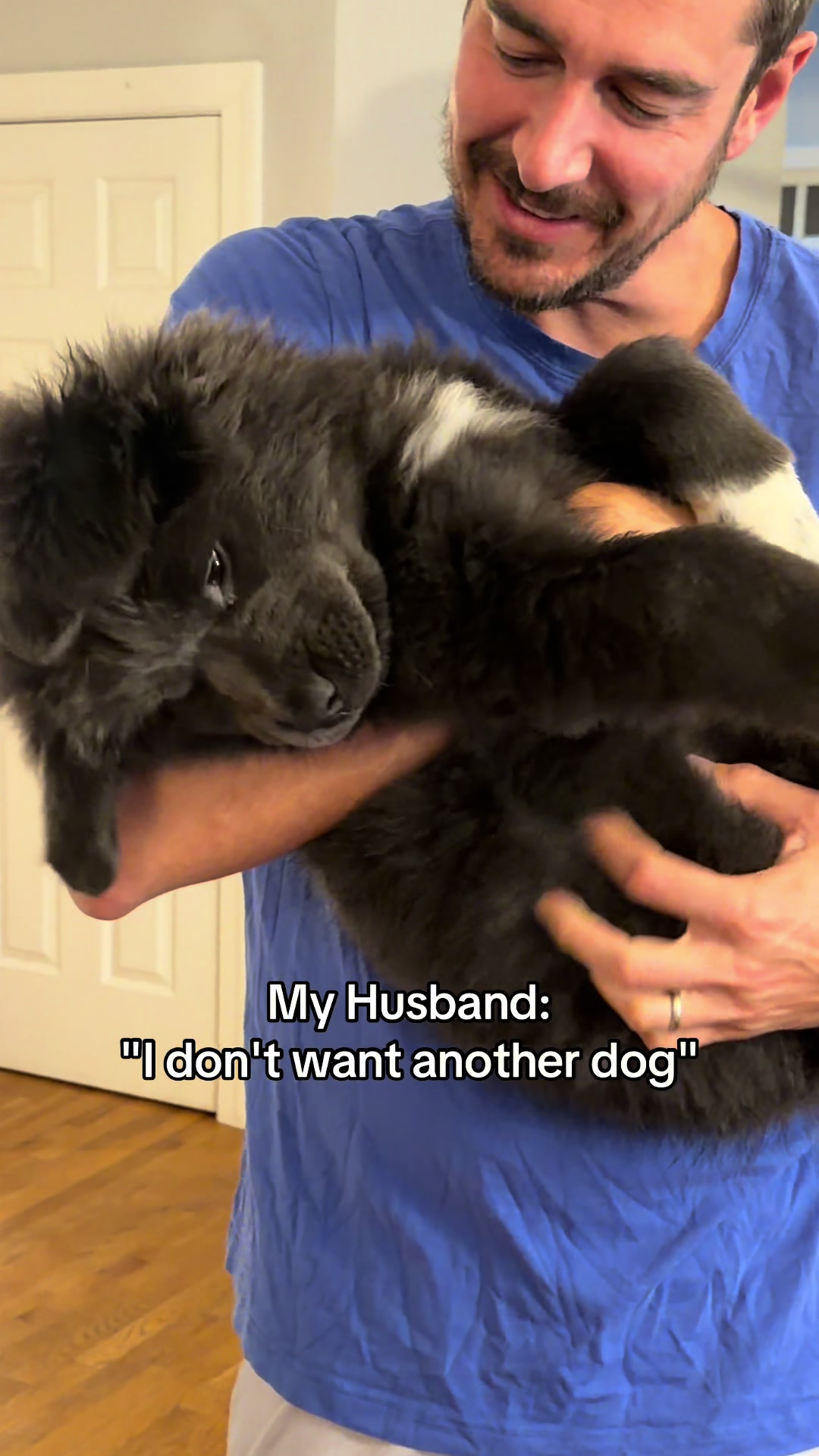 @Chewy The Newfoundland