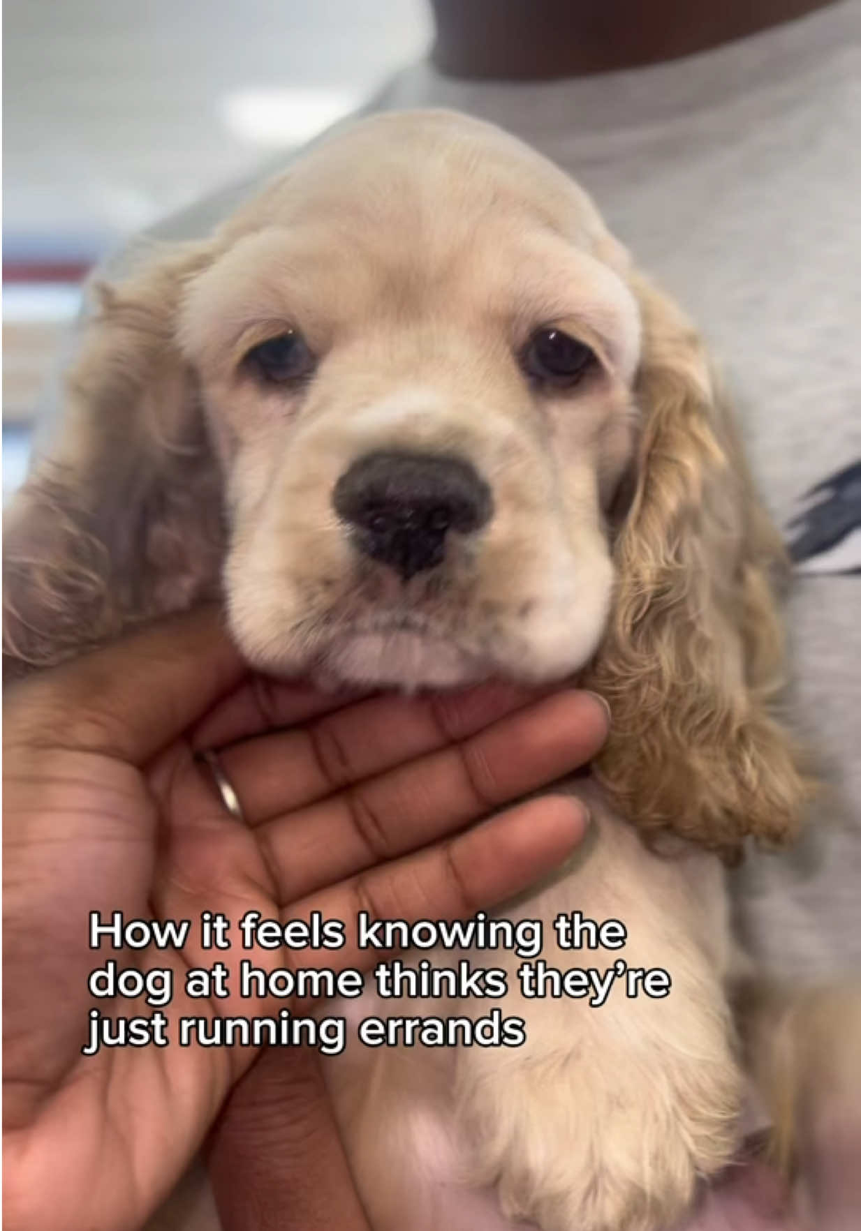@Petland Oklahoma City