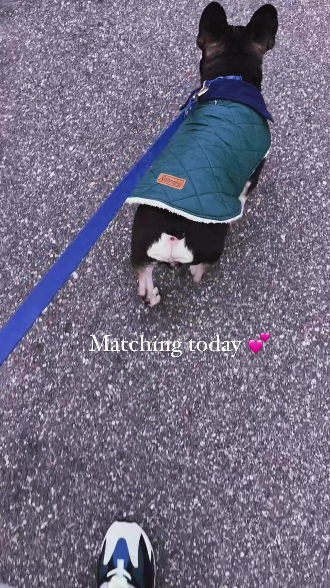@Ari