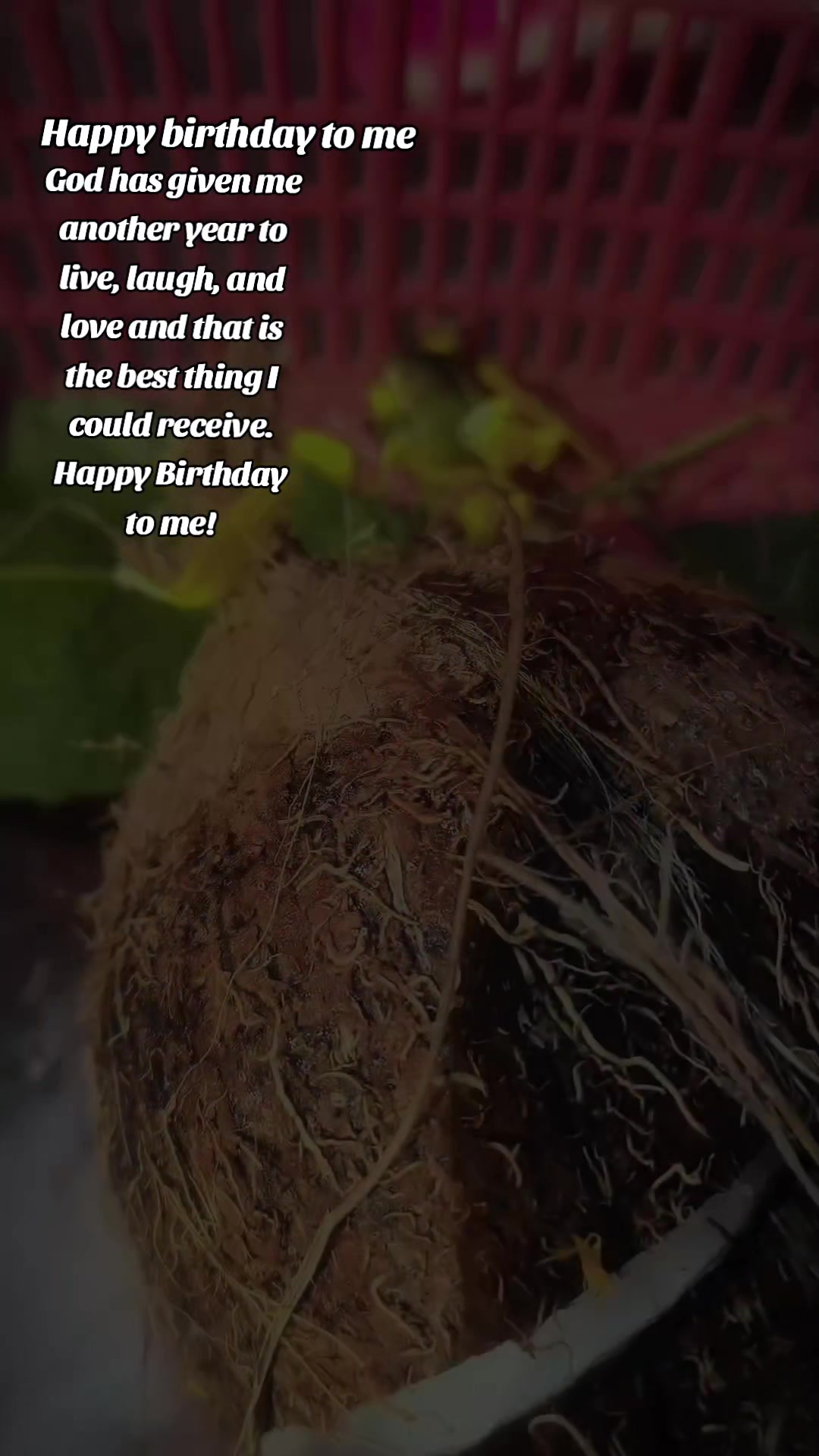 @रामबाबु साह 💞🧿