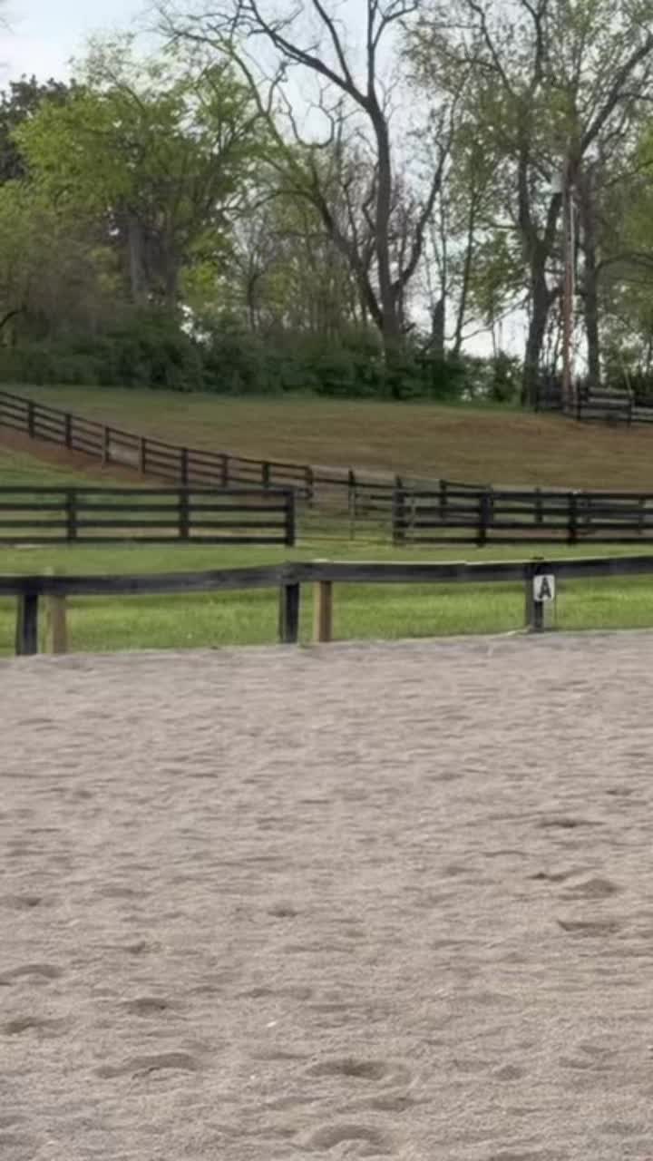 @Eleanor.eq