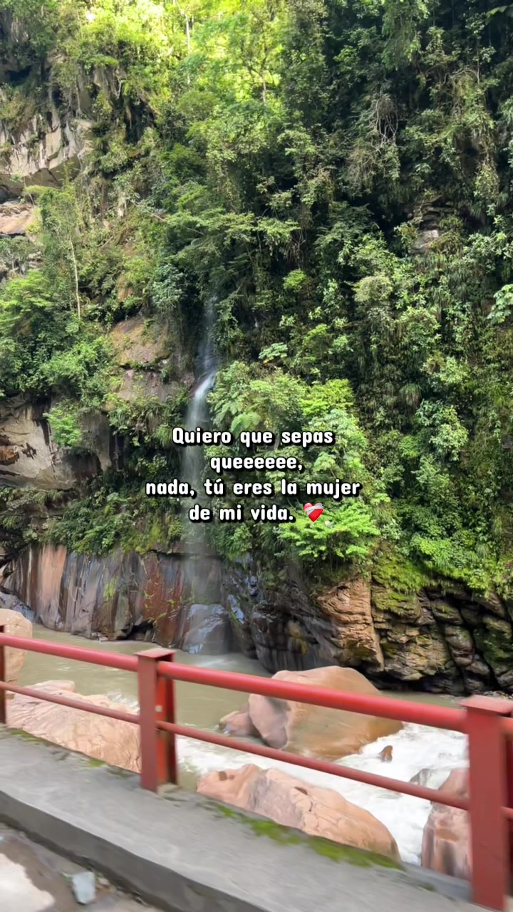 @Cristhian Navarro