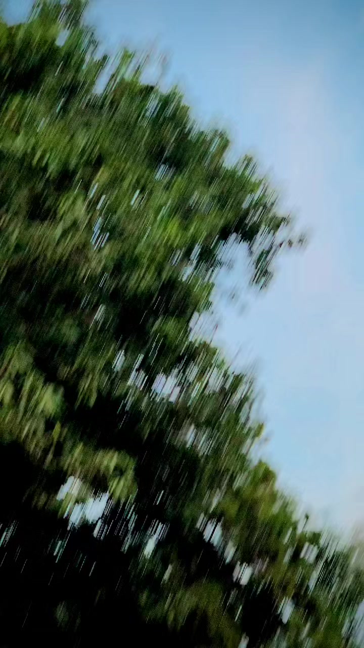 @علی حــــــن🫅