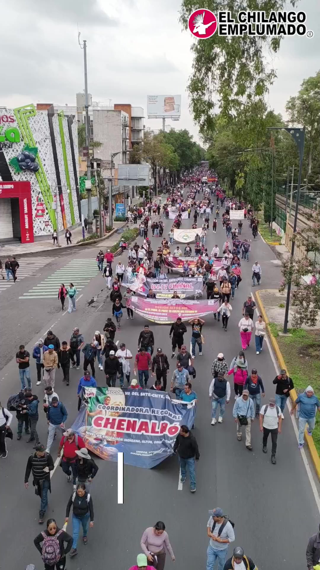 @El Anima de Coyoacan