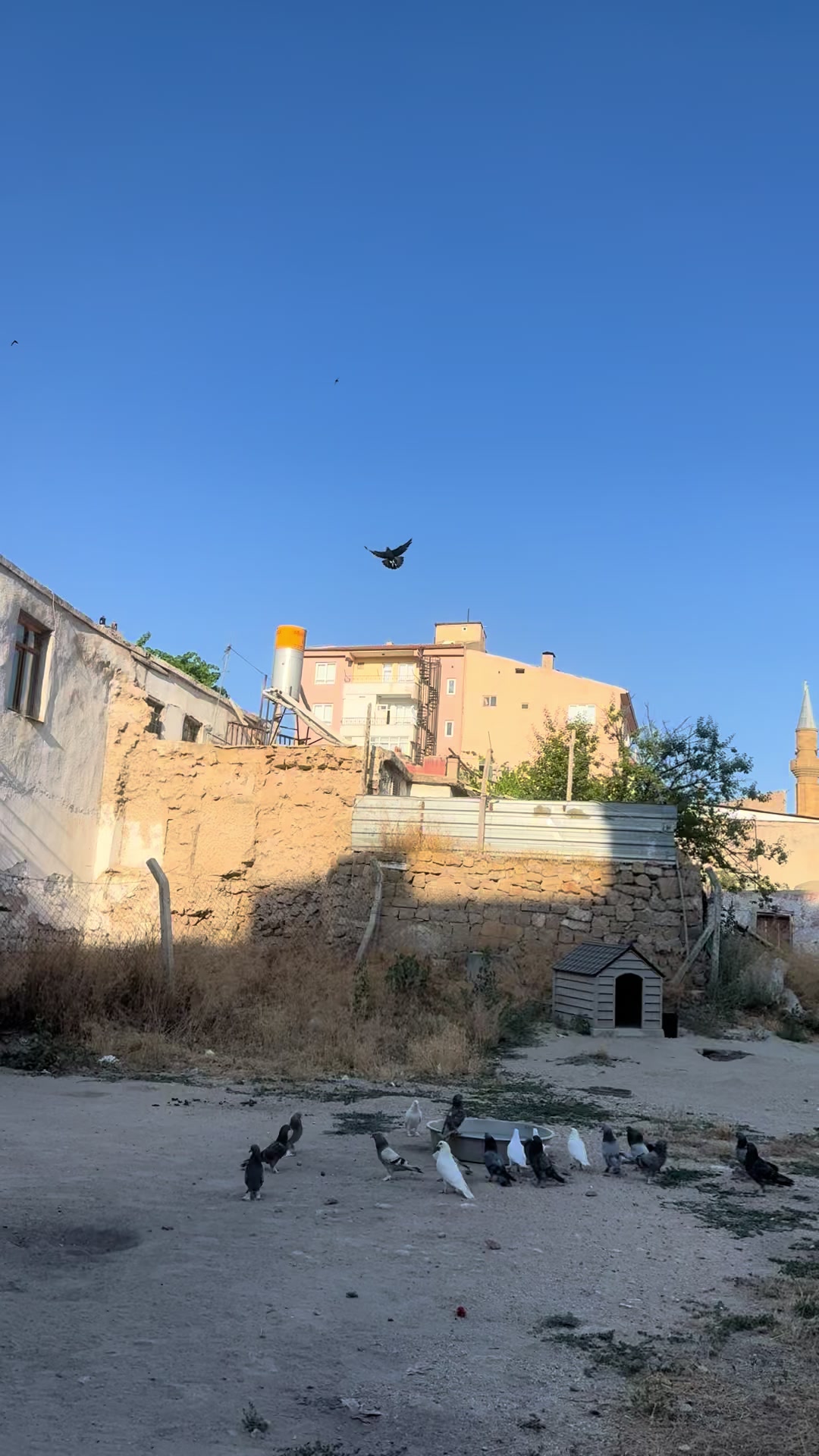 @Ömer Yavuz