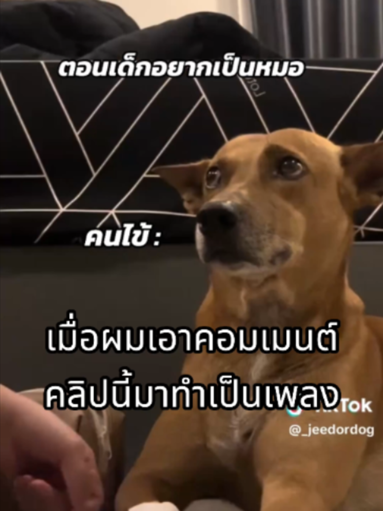 @ผักกาดดด