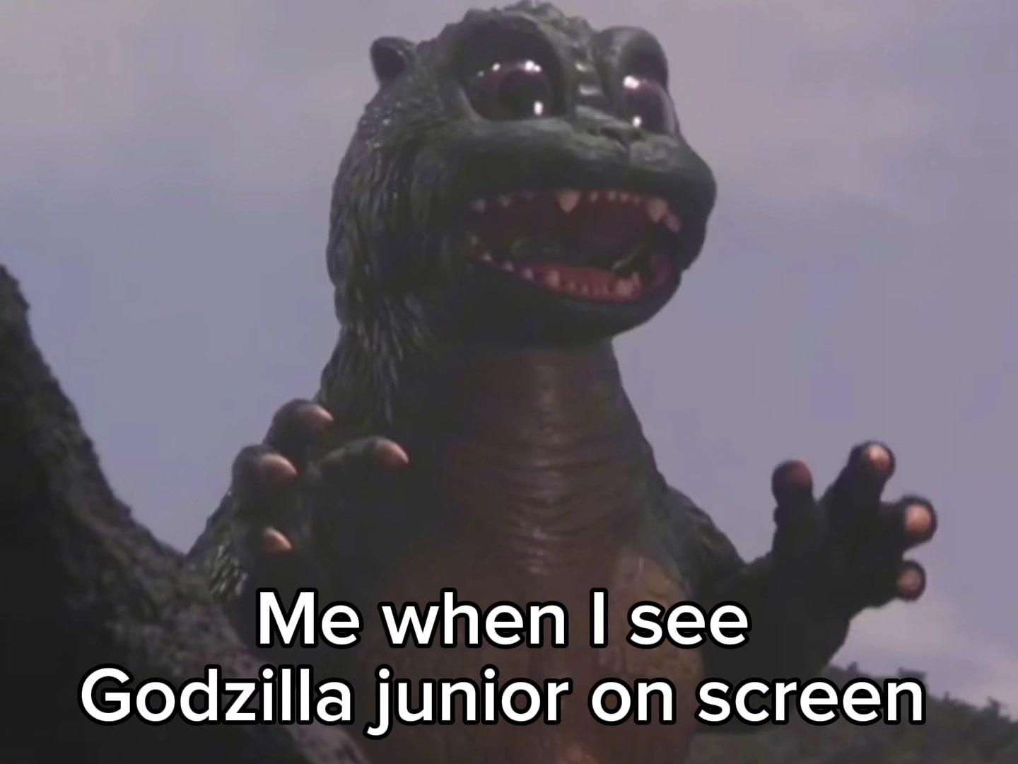 @Derpy_Bowser