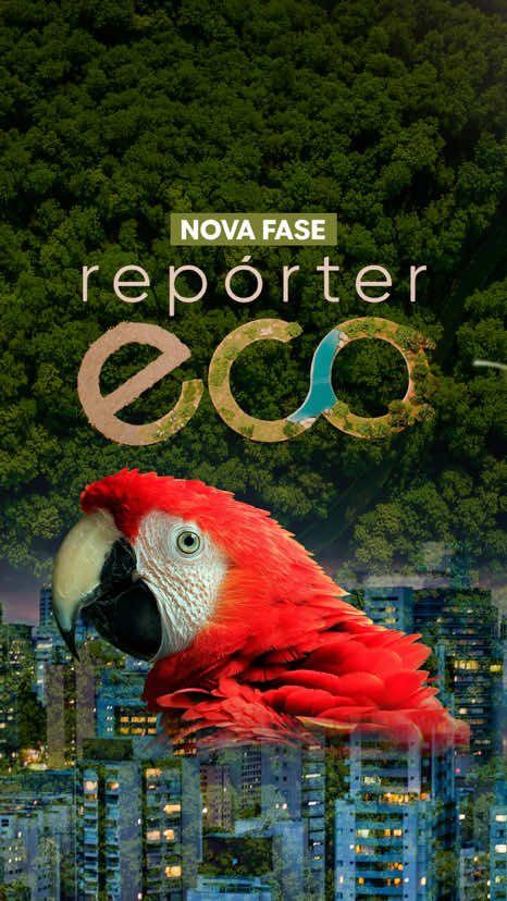 @TV Cultura Oficial
