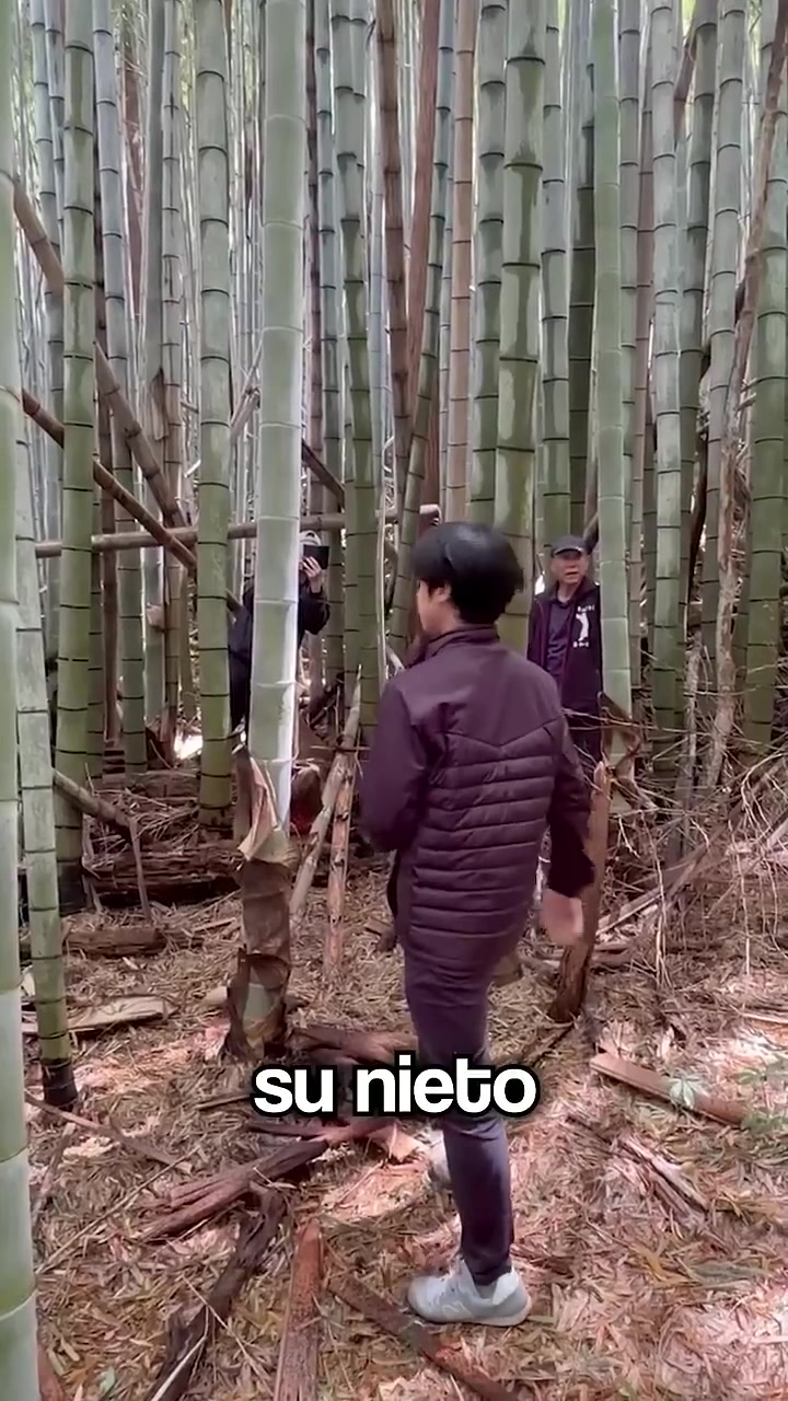 @Veo todo👀📱