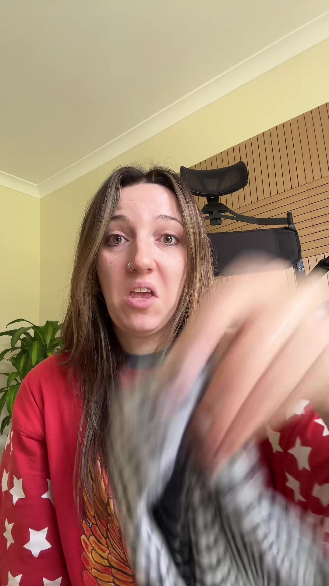 @Ashleys-WorldOfCreatingContent