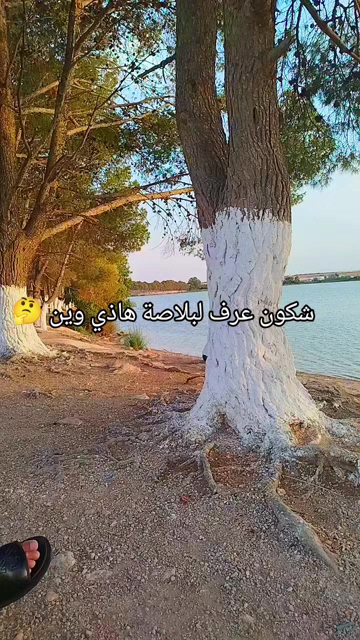 @A_____brayji