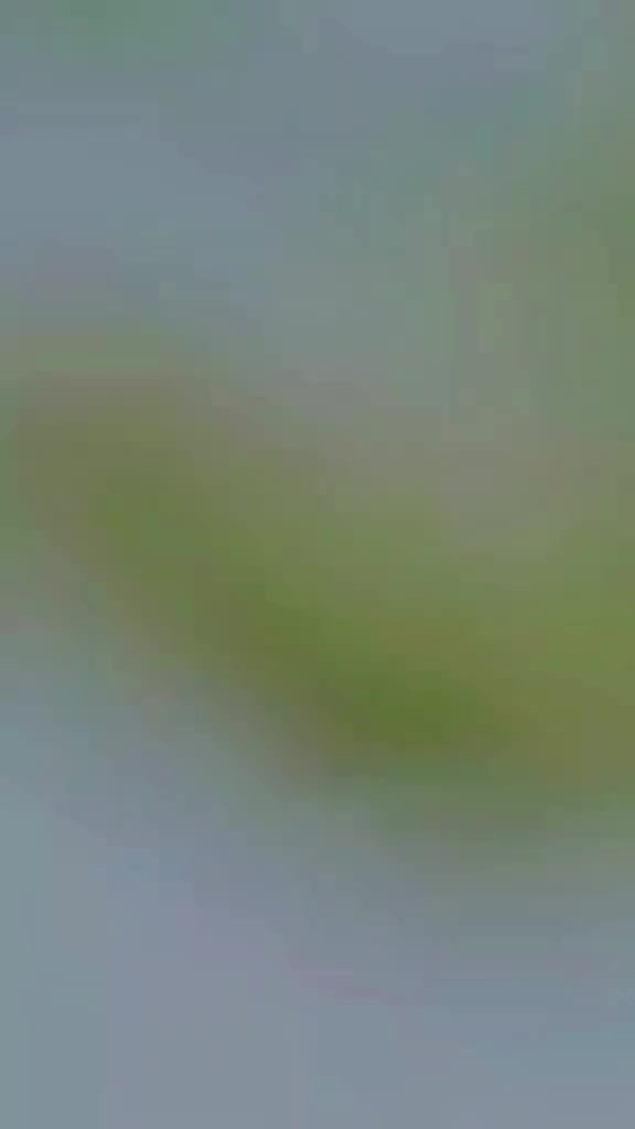 @S&Atilde;Q&Iacute;ẞ &Ccedil;H&Ouml;&Ucirc;DH&Atilde;RY