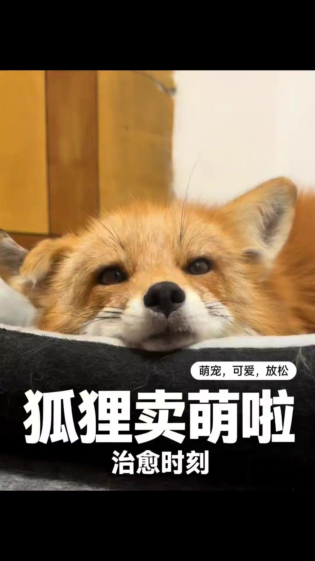 @wenping304