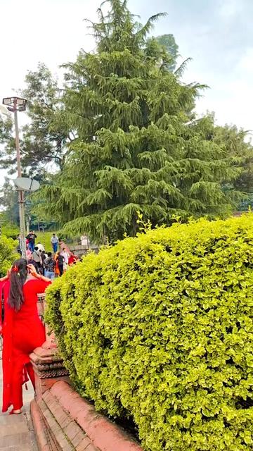 @👑Yadav ji👑🥀🥀🥰🤗❤️❤️