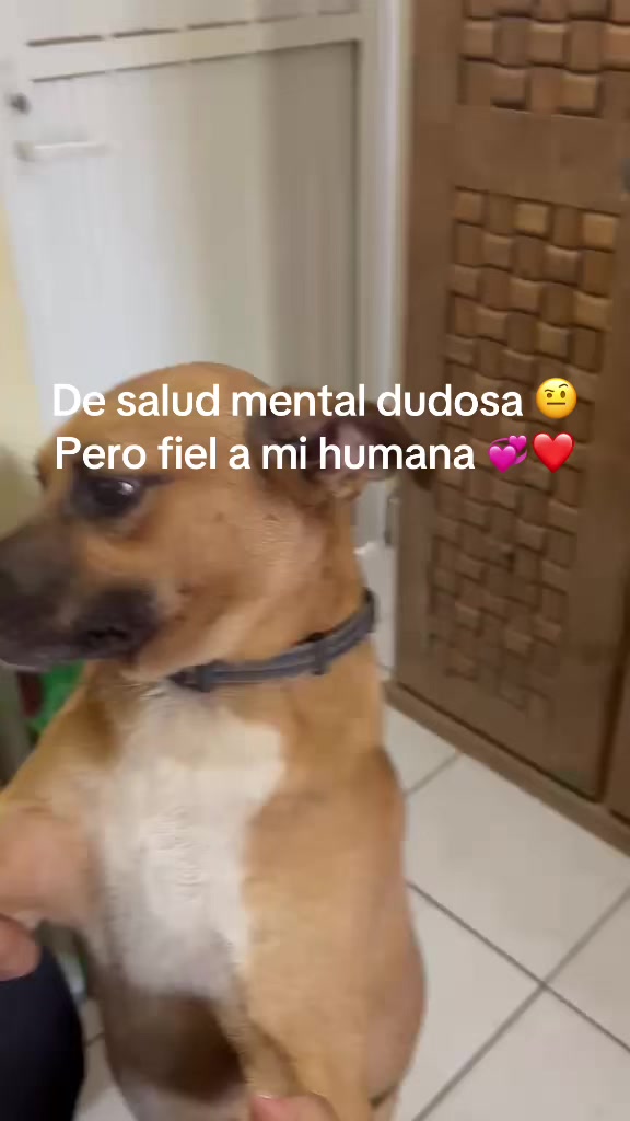 @Blanca Chavez