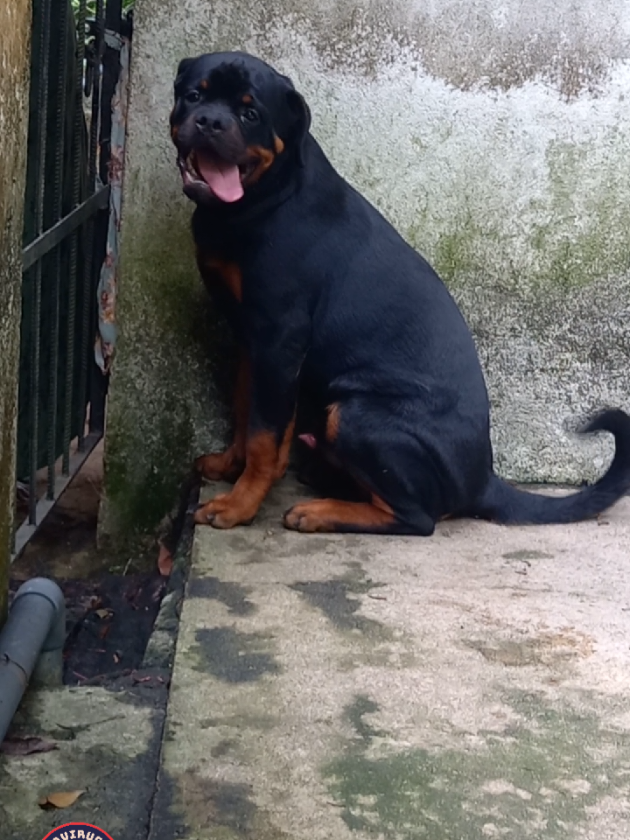 @Ranavirugama Kennel