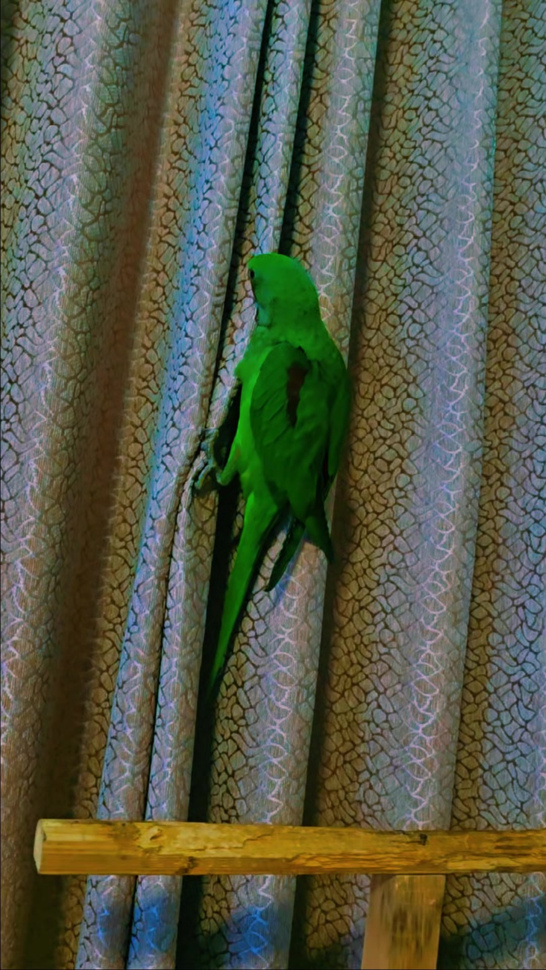 @Bijita