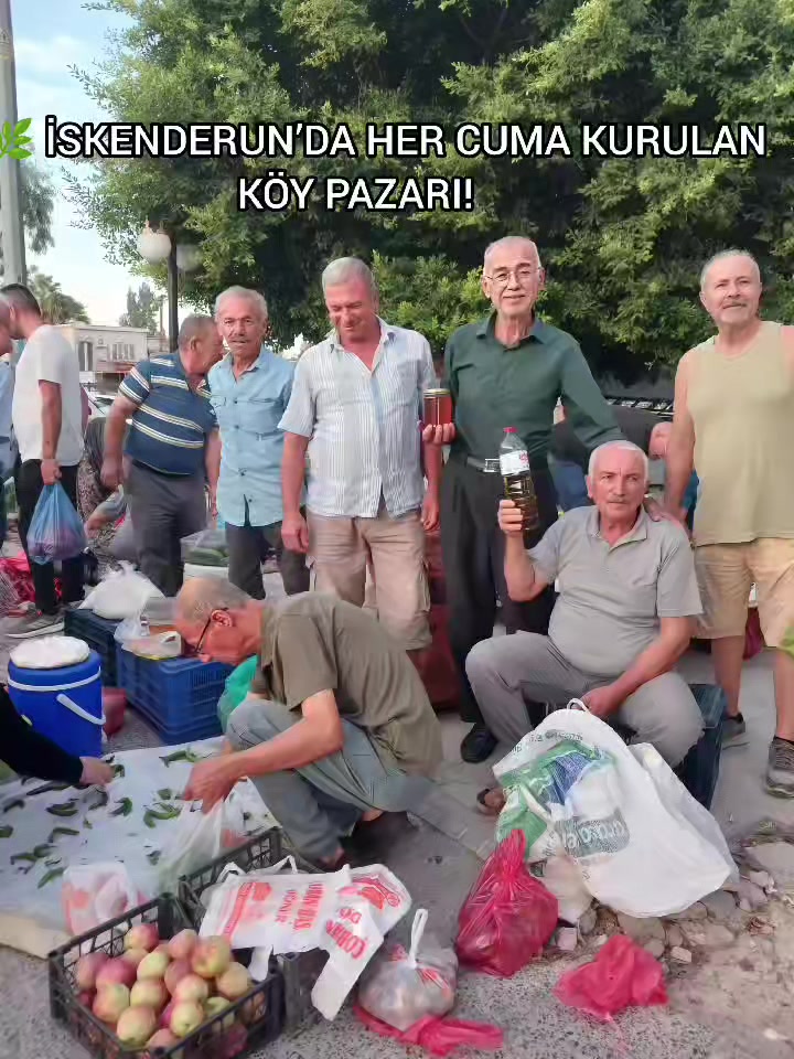 @iskenderunbülteni