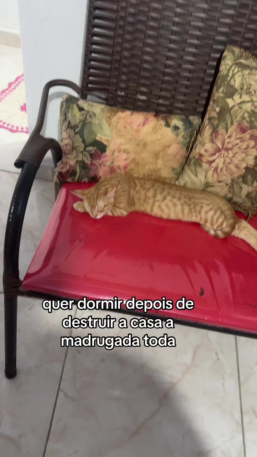 @Myllena Silva